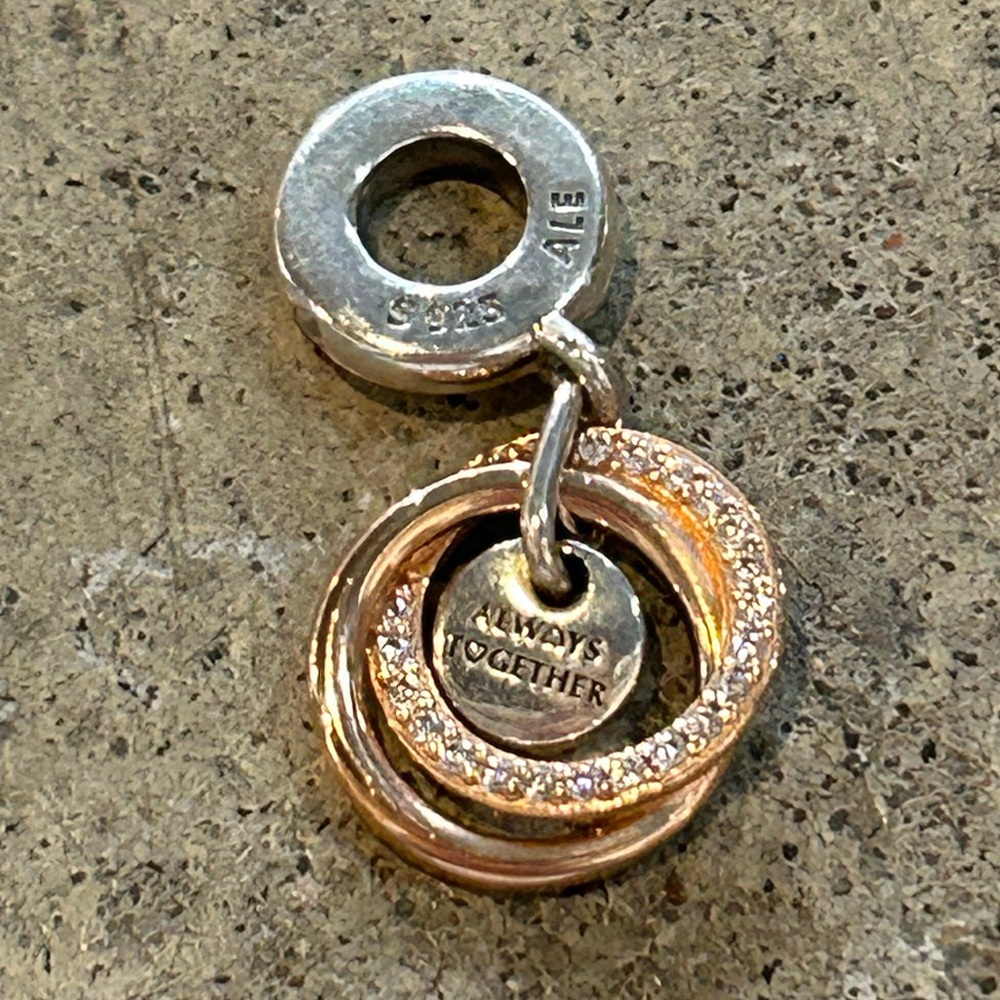RETIRED Family Always Encircled Dangle Charm